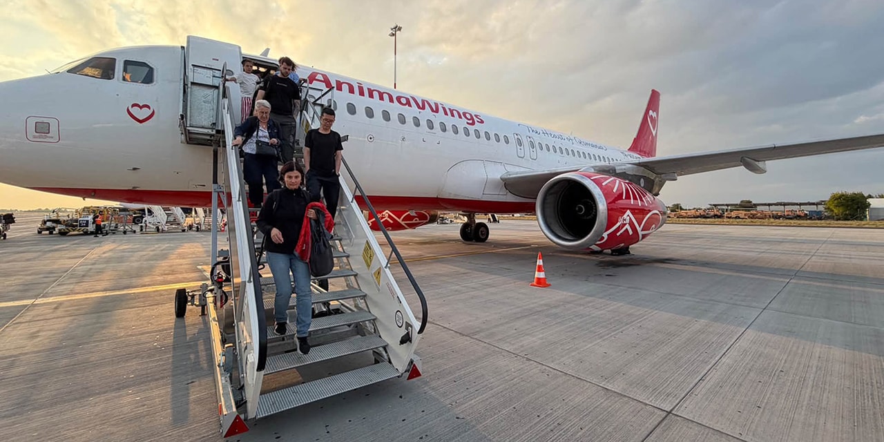 Aeronavă AnimaWings