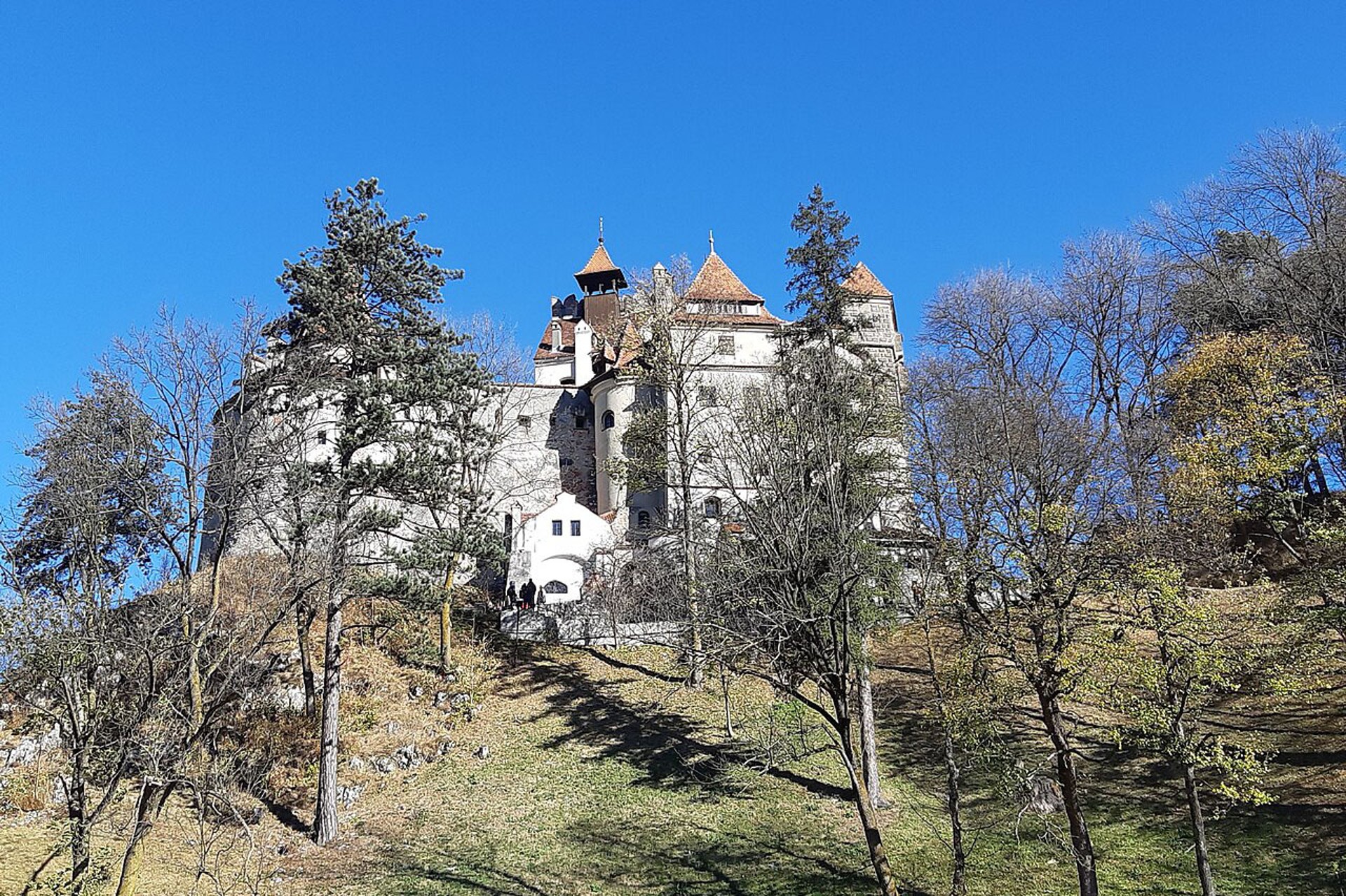 Castelul Bran