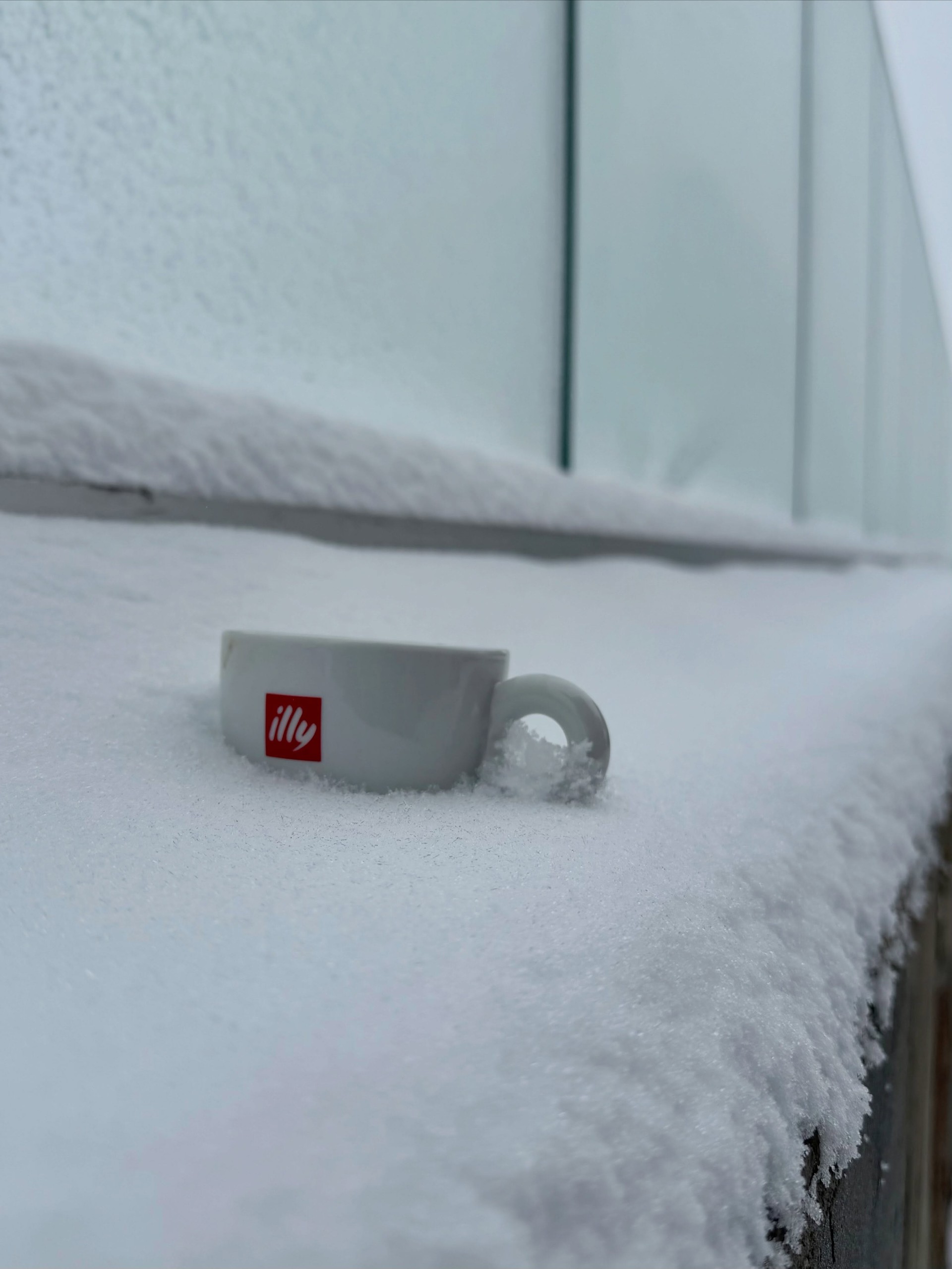 cana de cafea Illy ingropata in zapata