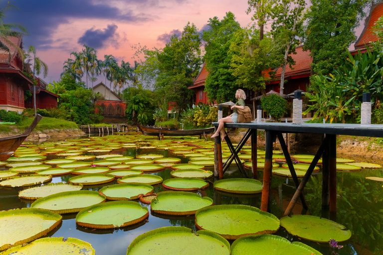 Thailanda lac cu nuferi