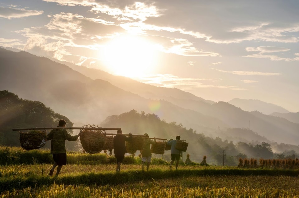 Imagine rurală