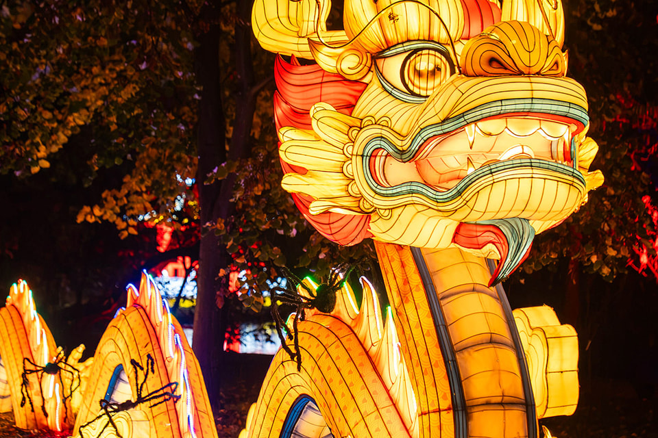 Lumina  Park din Grădina Botanică